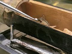 -生态苑农庄(十里画廊遇龙河店)