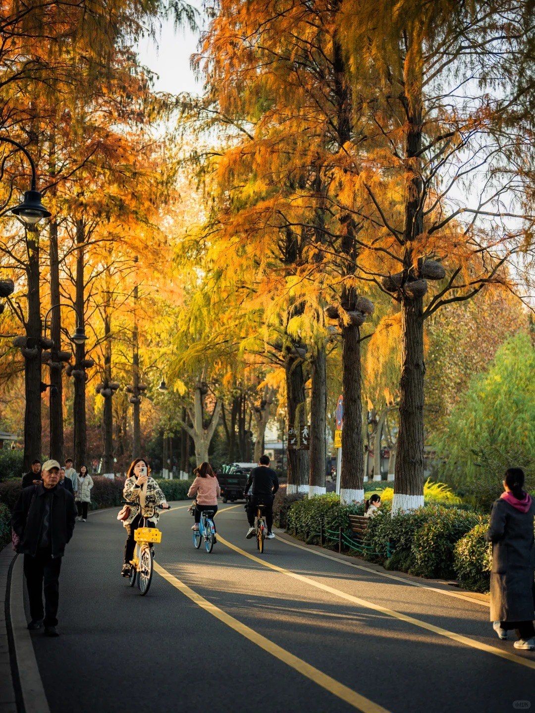 秋季美图骑行大赏