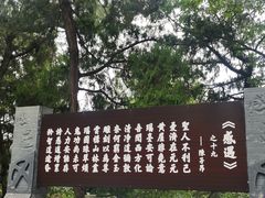 -子昂故里文化旅游区