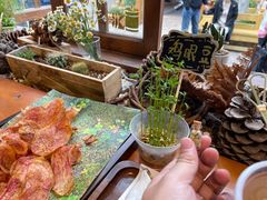 -饵块食光·云南有机手作饵块