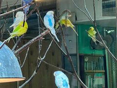 -上海大自然野生昆虫馆(东方明珠·爬宠昆虫探索中心)