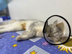 -荔康动物医院(康王北路店)