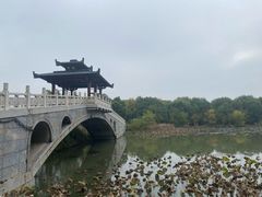 -东湖落雁景区