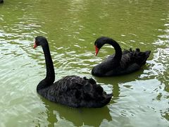 -舜耕山庄四时万和自助餐厅