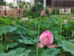 -中家鑫园温泉酒店鑫悦汤泉