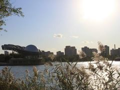 -朝阳公园游乐园