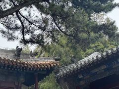 -潭柘寺景区