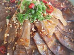 -食家鸽园
