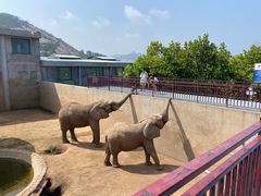 -西霞口神雕山野生动物世界