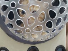 -联合动物医院(光谷诊疗中心)