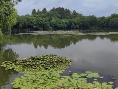 -西湖游船