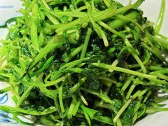 -鸽子窝(宋庄店)
