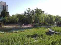 -元大都城垣遗址公园