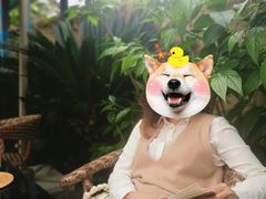 -莫催咖啡