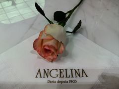 -Angelina安吉丽娜(恒隆广场店)