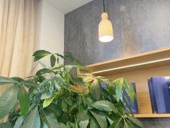 -艾柏堂8090经络·艾灸养生(御庭府邸店)