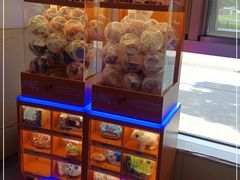 -上海市第一人民医院(松江南部)