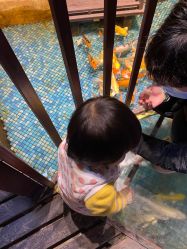 -酷嗒动物文化乐园(cutezoo西溪乐天城店)