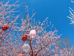-三里河公园