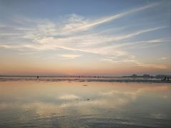 -北海金海湾红树林生态旅游区