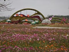 -海珠湖公园