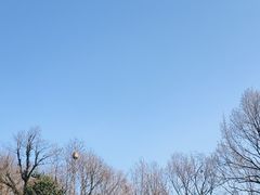 -宋宴(虎跑店)