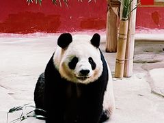 -杭州野生动物世界