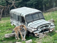 -西安秦岭野生动物园