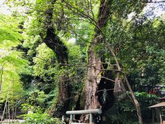 -来宫神社