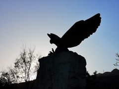 -北京鹫峰国家森林公园
