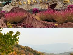 -北京西山国家森林公园