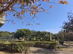 -大嶝英雄三岛战地观光园