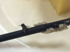 老磁器口豆汁店正餐部&nbsp;肆友轩(天坛店)-老磁器口豆汁店(天坛店)