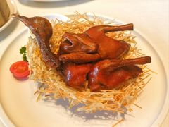 吊烧乳鸽-泮金大塘(北二七路店)