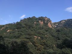 -大岭沟猕猴桃谷风景区