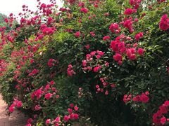 -日本风情街