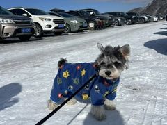 -太子岭滑雪场