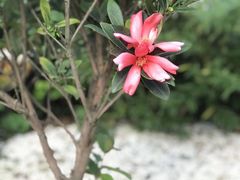-坂田手造文化街