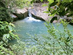 -广州白江湖森林公园