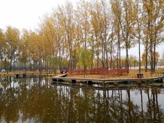 -东郊湿地公园