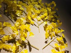 -觅山云南菜(泊富ICITY店)