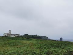 -涉地可支