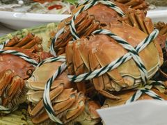 -蟹天蟹地农家菜·阳澄湖大闸蟹(浅水湾店)