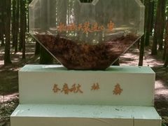 -山王坪喀斯特国家生态公园
