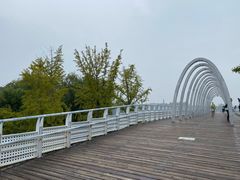 -大兴滨河森林公园