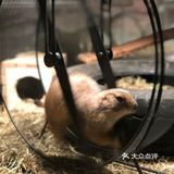 亲子｜超超超可爱的萌宠乐园