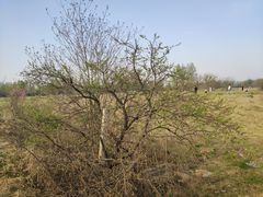 -汉长安城未央宫国家考古遗址公园