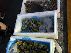 -王四营海鲜市场