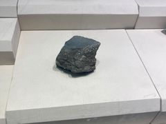 -辽宁古生物博物馆