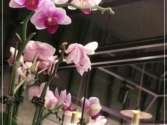 -LANN I 蘭 泰式古法按摩(徐家汇城开YOYO店)